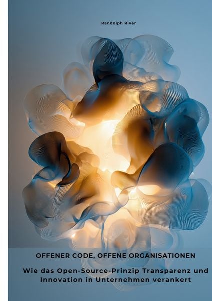 Produktbild: Offener Code, offene Organisationen