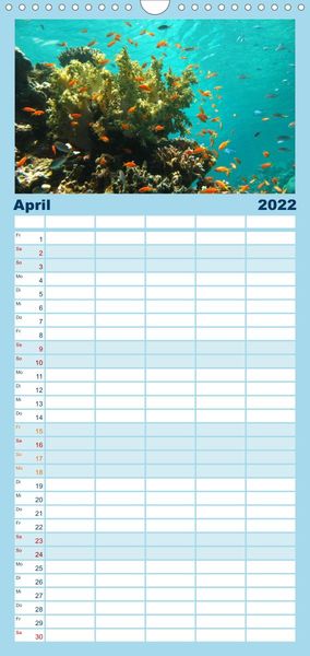 Produktbild: Riffleben - Einfach mal abtauchen - Familienplaner hoch (Wandkalender 2022 , 21 cm x 45 cm, hoch)