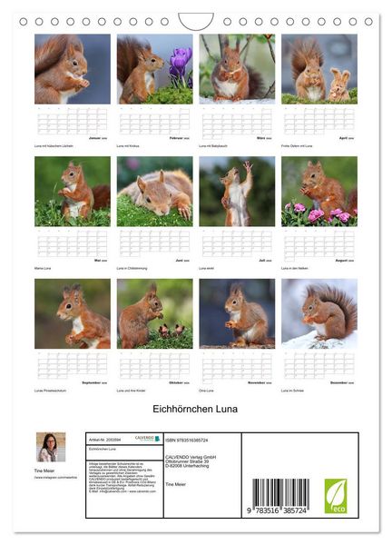 Produktbild: Eichh&ouml;rnchen Luna (Wandkalender 2026 DIN A4 hoch), CALVENDO Monatskalender
