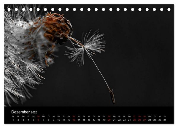 Produktbild: schwarz/wei&szlig; trifft farbe (Tischkalender 2026 DIN A5 quer), CALVENDO Monatskalender