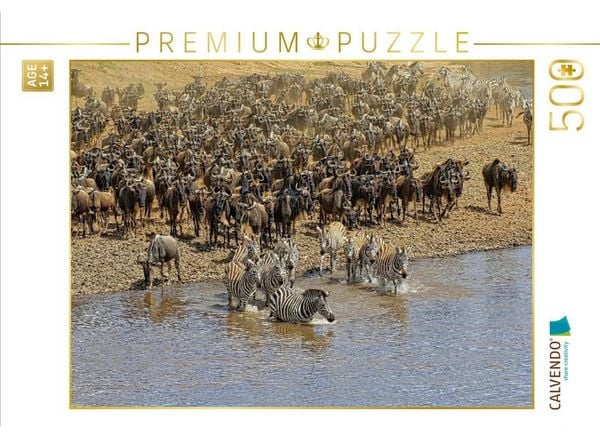 CALVENDO Puzzle Zebras....Wildlife am Marafluss | 500 Teile Lege-Größe 48 × 36 cm Foto-Puzzle für Erwachsene