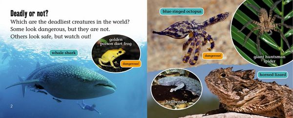 Produktbild: World's Deadliest Creatures