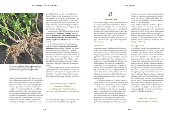 Produktbild: Meine Kr&auml;uter des Waldes
