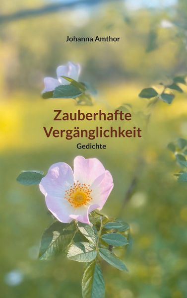Produktbild: Zauberhafte Verg&auml;nglichkeit