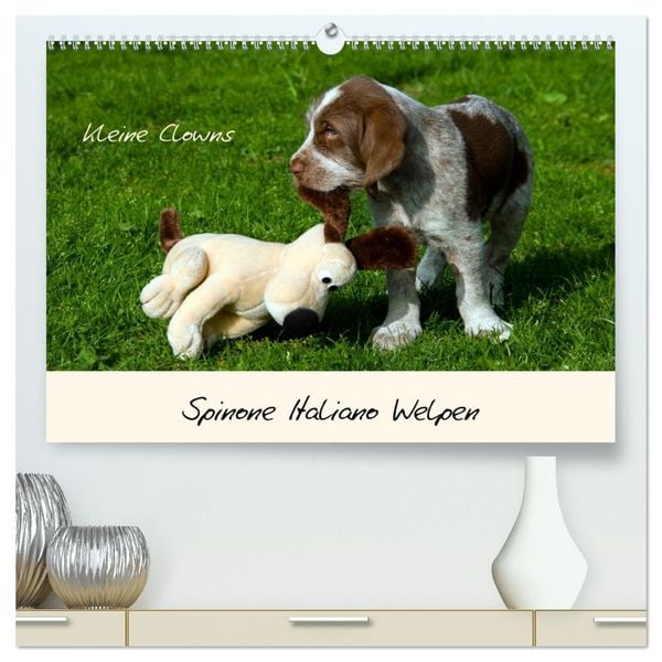 Spinone Italiano Welpen - Kleine Clowns (hochwertiger Premium Wandkalender 2026 DIN A2 quer), Kunstdruck in Hochglanz