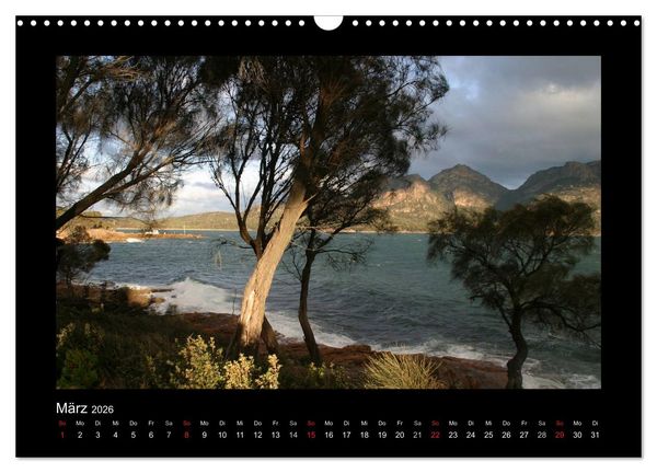 Produktbild: W&auml;lder, fotografiert auf vier Kontinenten (Wandkalender 2026 DIN A3 quer), CALVENDO Monatskalender