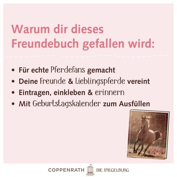 Produktbild: Freundebuch &ndash; Beste Freunde