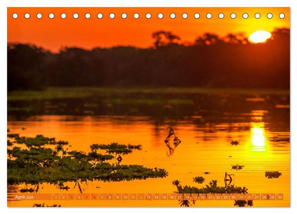 Produktbild: Der Amazonas: von den Anden zum Atlantik (Tischkalender 2026 DIN A5 quer), CALVENDO Monatskalender