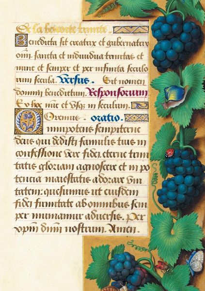 Produktbild: Carnet Blanc, Heures Anne de Bretagne, Raisin