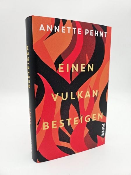 Produktbild: Einen Vulkan besteigen