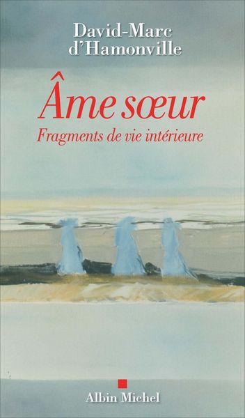 Produktbild: Ame soeur : fragments de vie int&eacute;rieure
