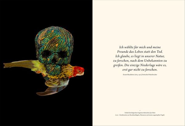 Produktbild: Wunderkammer