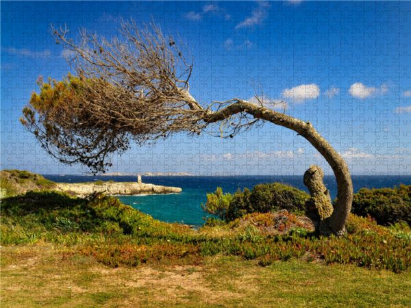 Produktbild: CALVENDO Puzzle Durchhalten! | 1000 Teile Lege-Gr&ouml;&szlig;e 64 &times; 48 cm Foto-Puzzle f&uuml;r gl&uuml;ckliche Stunden