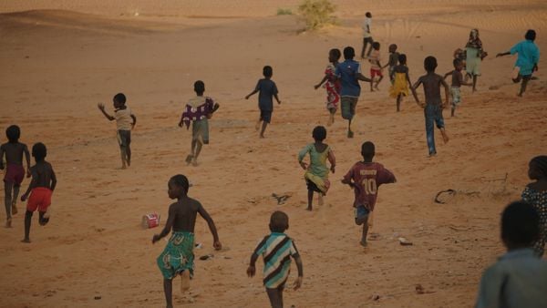 Produktbild: The Great Green Wall