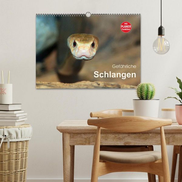 Produktbild: Gef&auml;hrliche Schlangen (Wandkalender 2026 DIN A3 quer), CALVENDO Monatskalender