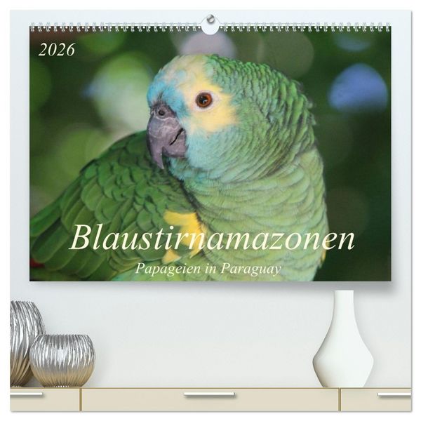 Produktbild: Blaustirnamazonen - Papageien in Paraguay (hochwertiger Premium Wandkalender 2026 DIN A2 quer), Kunstdruck in Hochglanz