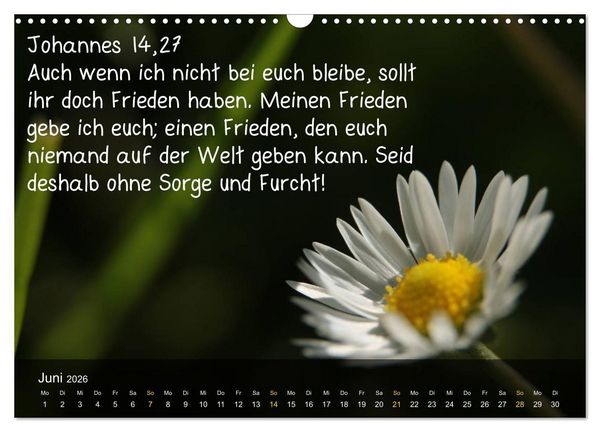 Produktbild: Sch&ouml;pfung im Licht (Wandkalender 2026 DIN A3 quer), CALVENDO Monatskalender