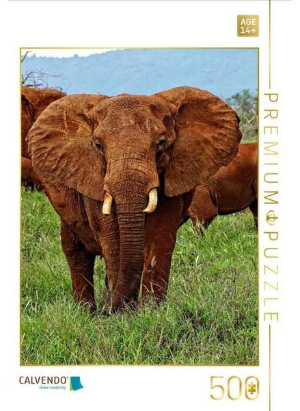 CALVENDO Puzzle Elefant....auf Safari | 500 Teile Lege-Größe 48 × 36 cm Foto-Puzzle für Erwachsene