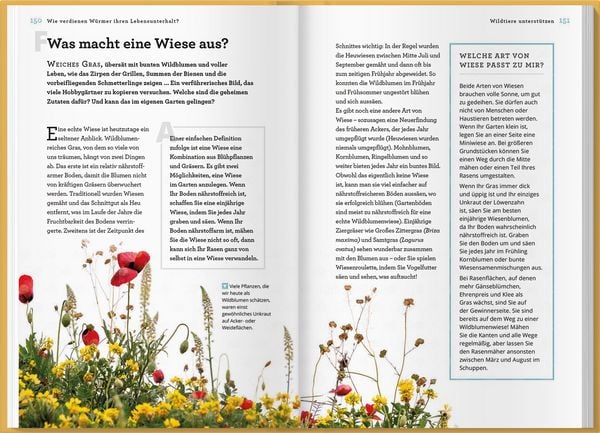 Produktbild: Wie verdienen W&uuml;rmer ihren Lebensunterhalt?