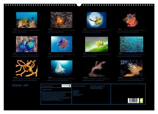 Produktbild: OCEAN - ART (Wandkalender 2026 DIN A2 quer), CALVENDO Monatskalender