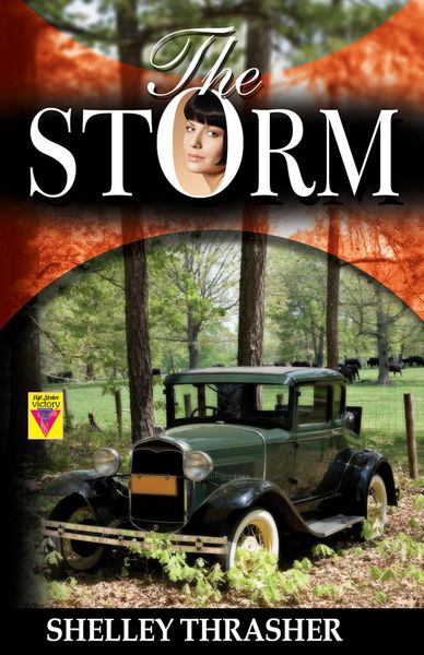 Produktbild: The Storm