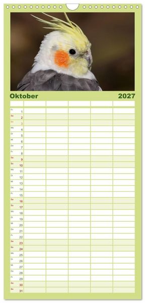 Produktbild: Familienplaner 2027 - Nymphensittiche mit 5 Spalten (Wandkalender, 21 x 45 cm) CALVENDO