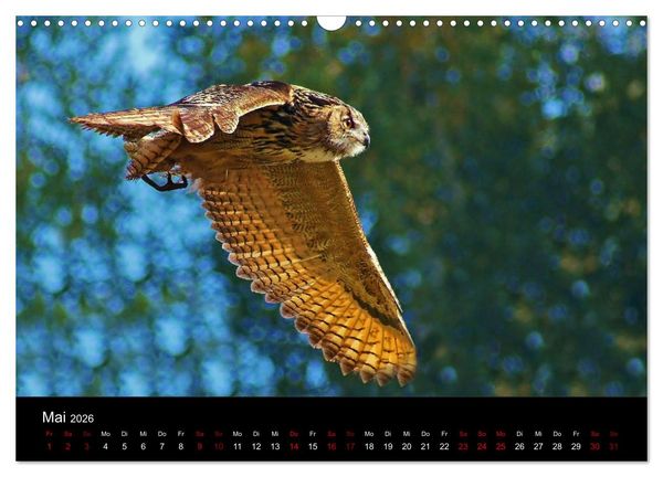 Produktbild: Der Waldspaziergang (Wandkalender 2026 DIN A3 quer), CALVENDO Monatskalender