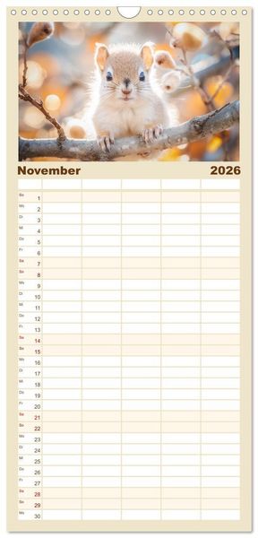 Produktbild: Familienplaner 2026 - Lustige Eichh&ouml;rnchen mit 5 Spalten (Wandkalender, 21 x 45 cm) CALVENDO
