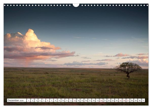 Produktbild: Madagaskar. Traumhafte Natur und Tierwelt (Wandkalender 2026 DIN A3 quer), CALVENDO Monatskalender