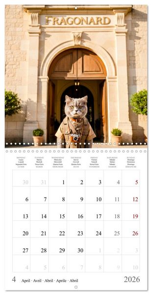 Produktbild: A British Shorthair's Escapes (Wall Calendar 2026 12 &times; 12 Inch) CALVENDO 12 Month Wall Calendar
