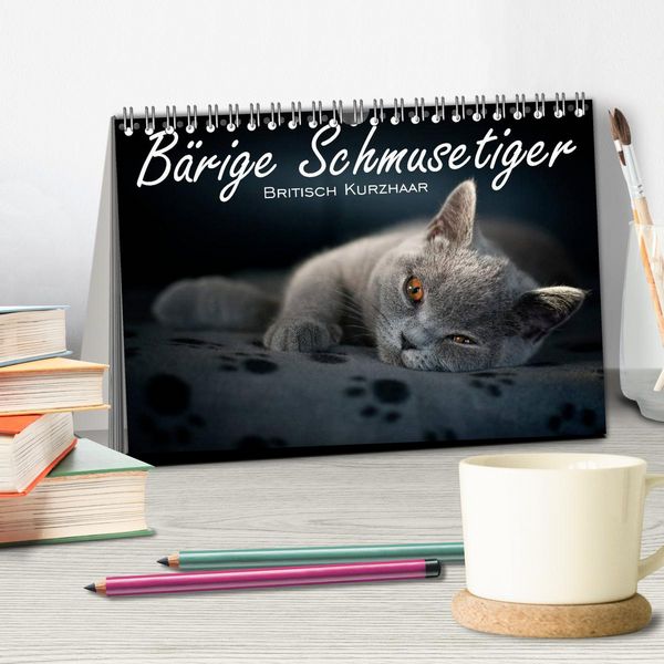 Produktbild: B&auml;rige Schmusetiger - Britisch Kurzhaar / CH-Version (Tischkalender 2026 DIN A5 quer), CALVENDO Monatskalender