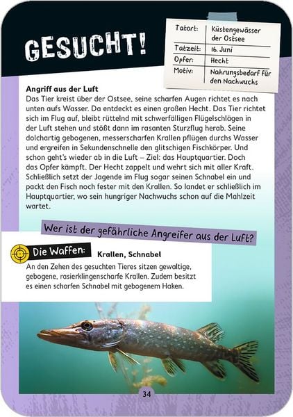Produktbild: ExpN Tatort Natur - L&ouml;se 50 tierische Kriminalf&auml;lle
