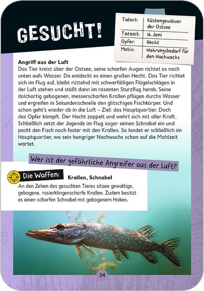 Produktbild: ExpN Tatort Natur - L&ouml;se 50 tierische Kriminalf&auml;lle