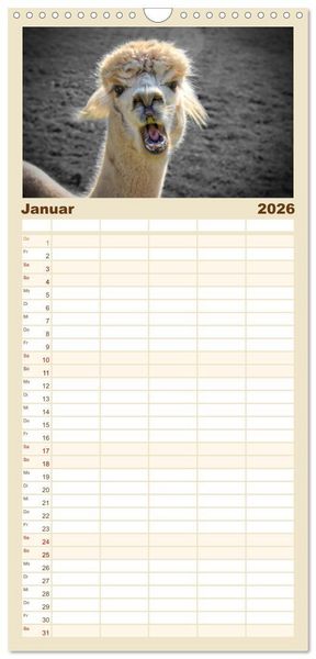 Produktbild: Familienplaner 2026 - Alpaka Gesichter mit 5 Spalten (Wandkalender, 21 x 45 cm) CALVENDO