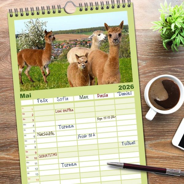 Produktbild: Familienplaner 2026 - Alpakas zum Verlieben mit 5 Spalten (Wandkalender, 21 x 45 cm) CALVENDO