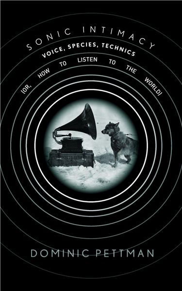 Produktbild: Sonic Intimacy