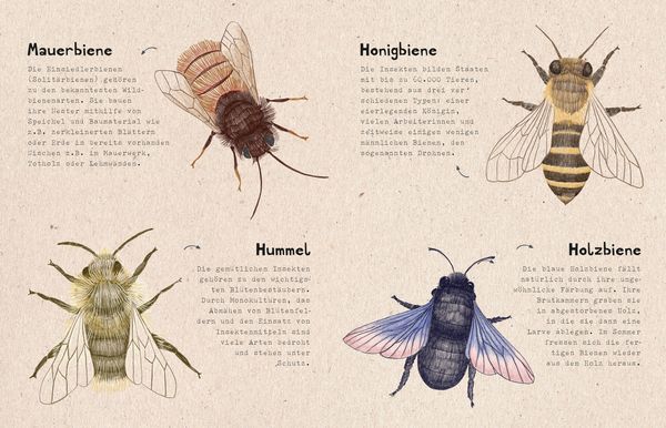 Produktbild: natur-verliebt
