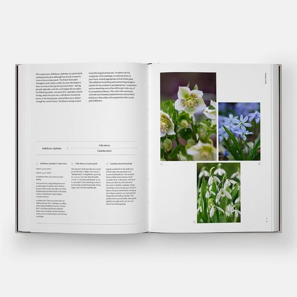 Produktbild: The Seasonal Gardener: Creative Planting Combinations