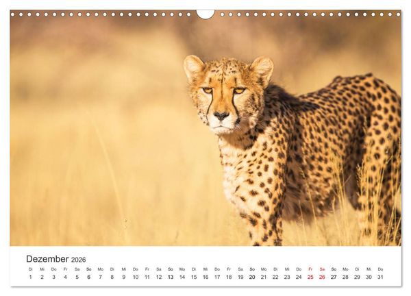 Produktbild: Safari durch Afrika (Wandkalender 2026 DIN A3 quer), CALVENDO Monatskalender