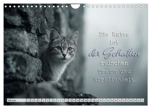 Produktbild: Katzenpoesie - Herzber&uuml;hrende Verse (Wandkalender 2026 DIN A4 quer), CALVENDO Monatskalender