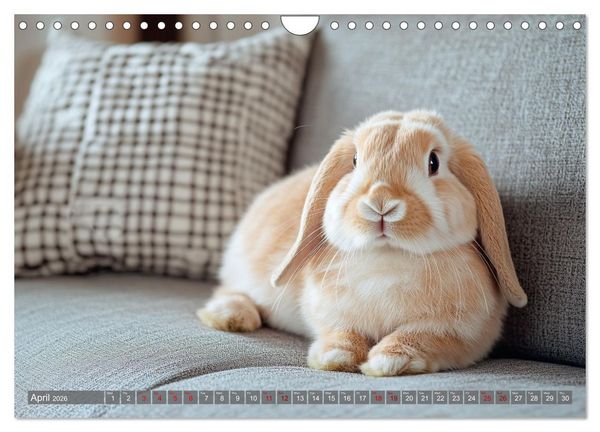 Produktbild: A Cuddly Rabbit Life (Wall Calendar 2026 DIN A4 landscape), CALVENDO 12 Month Wall Calendar