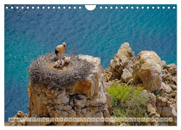 Produktbild: Fischerweg Portugal (Wandkalender 2026 DIN A4 quer), CALVENDO Monatskalender