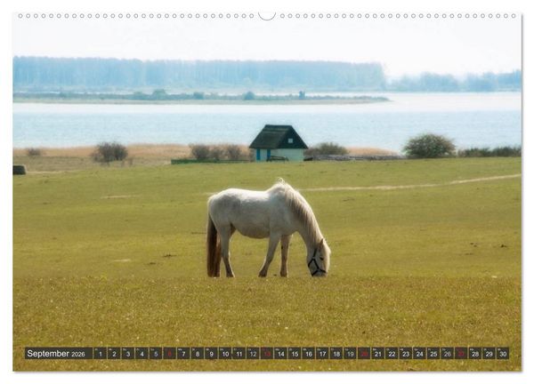Produktbild: Insel Hiddensee (hochwertiger Premium Wandkalender 2026 DIN A2 quer), Kunstdruck in Hochglanz