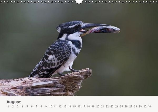 Produktbild: Faszination Ostafrika - Tierwelt und Natur aus Kenia und Tansania (Wandkalender immerw&auml;hrend DIN A3 quer)
