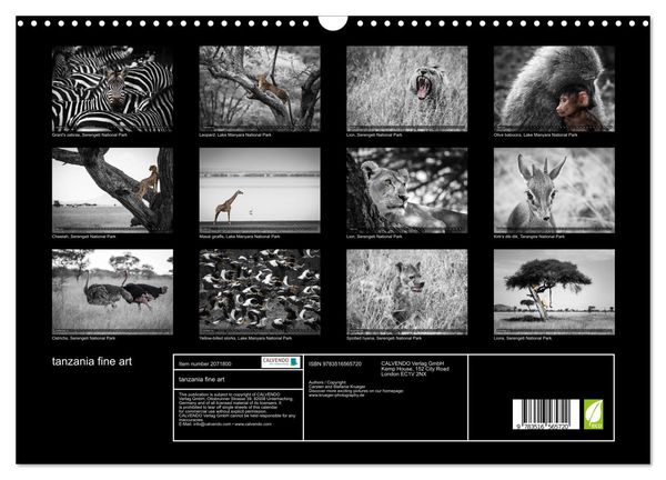 Produktbild: tanzania fine art (Wall Calendar 2026 DIN A3 landscape), CALVENDO 12 Month Wall Calendar