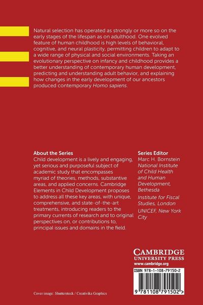 Produktbild: Child Development in Evolutionary Perspective