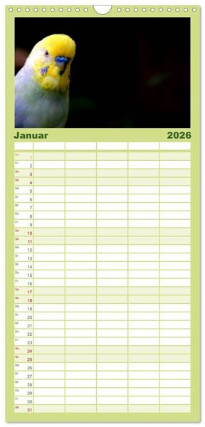 Produktbild: Familienplaner 2026 - Wellensittiche - Naturkalender mit 5 Spalten (Wandkalender, 21 x 45 cm) CALVENDO