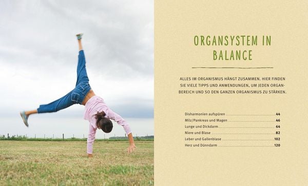 Produktbild: Organbalance