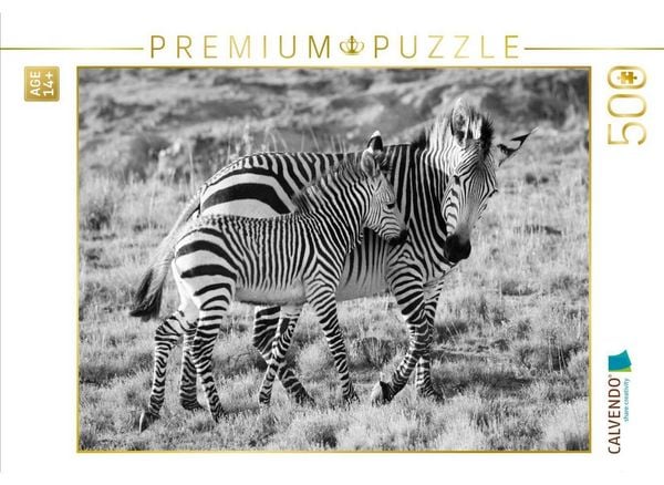 CALVENDO Puzzle Ein Motiv aus dem Kalender SÜDAFRIKA HARTMANNS BERGZEBRAS IN SCHWARZ-WEISS | 500 Teile Lege-Größe 48 × 36 cm Foto-Puzzle für Erwachsene