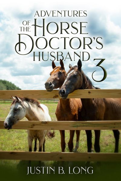 Produktbild: Adventures of the Horse Doctor's Husband 3